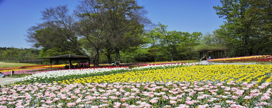 国営讃岐まんのう公園1