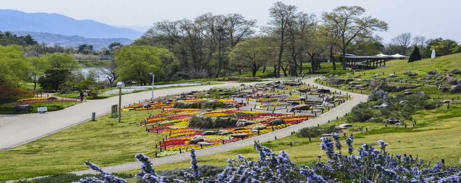 国営讃岐まんのう公園3